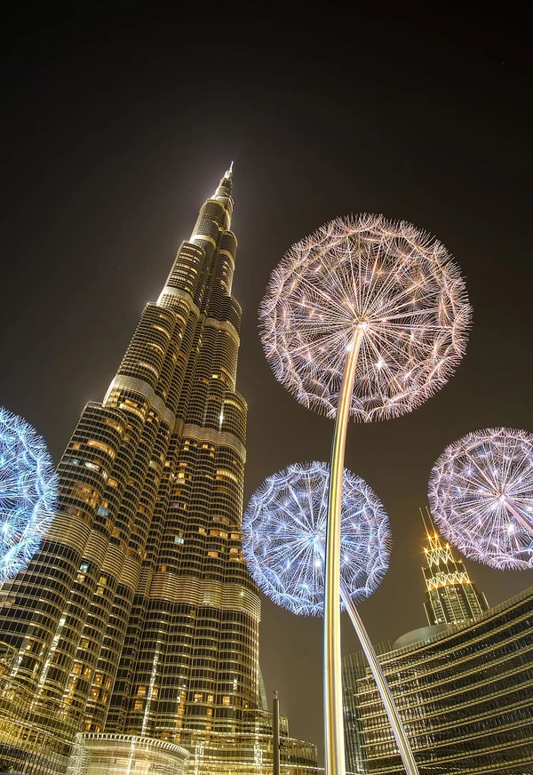 Dandelion Lights 5